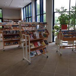 Neuerwerbungsregal der Stadtbibliothek in Lebenstedt