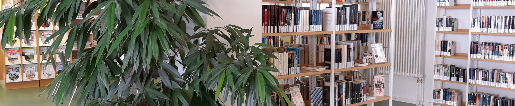 Belletristik der Stadtbibliothek in Bad