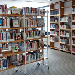 Sachbücher in der Stadtbibliothek Lebenstedt