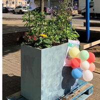 Farbenfroh: Die neuen Blumenkübel auf dem Marktplatz.
