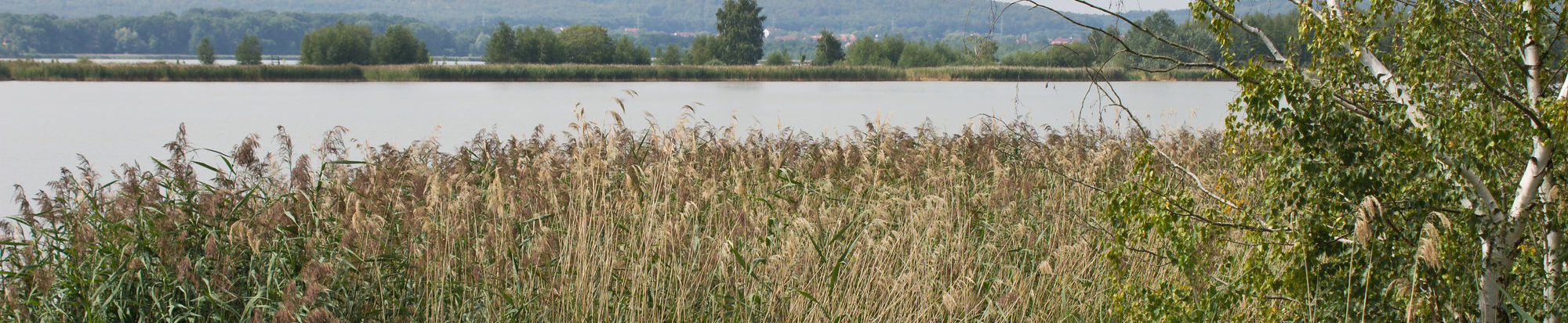 Naturschutz Heerter See