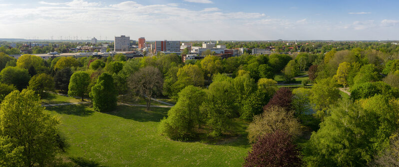 Der Stadtpark besitzt einen schützenswerten Baumbestand und große Flächen an Scherrasen.
