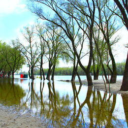 PantherMedia 24977536