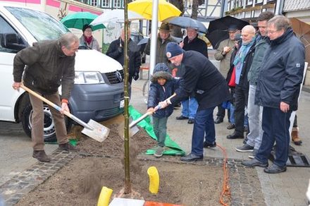 Oberbürgermeister Frank Klingebiel pflanzte gemeinsam mit Ortsbürgermeister Wolfgang Bauer eine Linde auf dem neu gestalteten Marktplatz.
