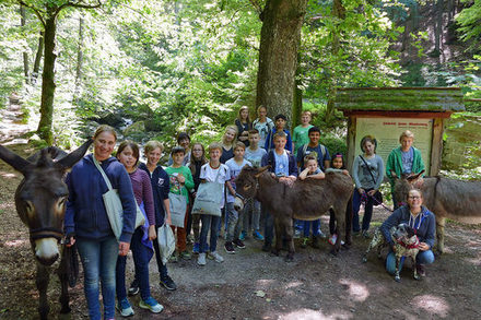 Die Kinder erlebten im Harz tolle Abenteuer mit den Eseln. (Fotos: Stadt Salzgitter)