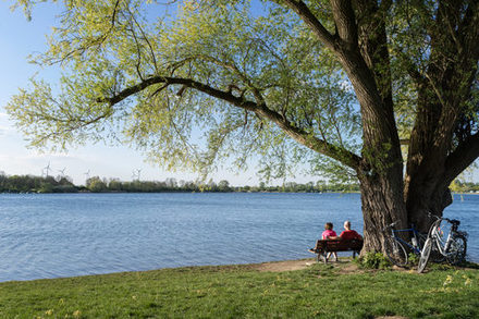 Ein Paar sitzt unter einem Baum am Salzgitterseee