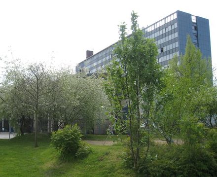 Pflanzen und Bäume vor dem Rathaus.