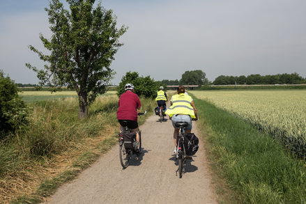 Drei Fahrradfahrer/innen auf einem Feldweg