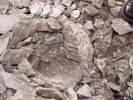 Fossilienfunde im Kalksteinbruch.