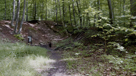 Steinbruch auf dem Geopfad im Salzgitter-Höhenzug.