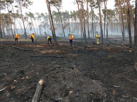 Bild Waldbrandeinsatz