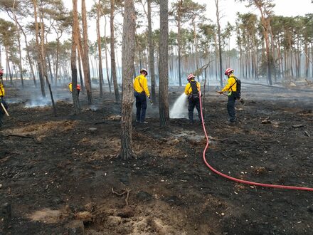 Hier sind drei Mitglieder des Waldbrandteams zu sehen, wie sie in einem brandenburgischen Wald den Waldboden wässern
