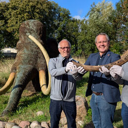 Museumsleiter Arne Homann (Mitte) mit Harald Wiegleb (links), Jürgen Woelke (rechts) und dem Stoßzahn im Eiszeitgarten Salder.