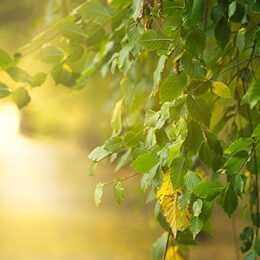 PantherMedia 30834089