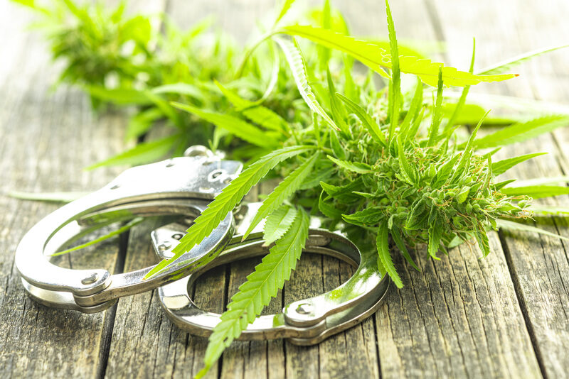 Das Team Jugend- und Demokratiebildung der Stadt Salzgitter, die Polizeiinspektion Salzgitter/Peine/Wolfenbüttel, die AWO Salto Suchthilfe Salzgitter informieren am Dienstag, 7. Oktober, 19 Uhr, online über die Cannabislegalisierung.