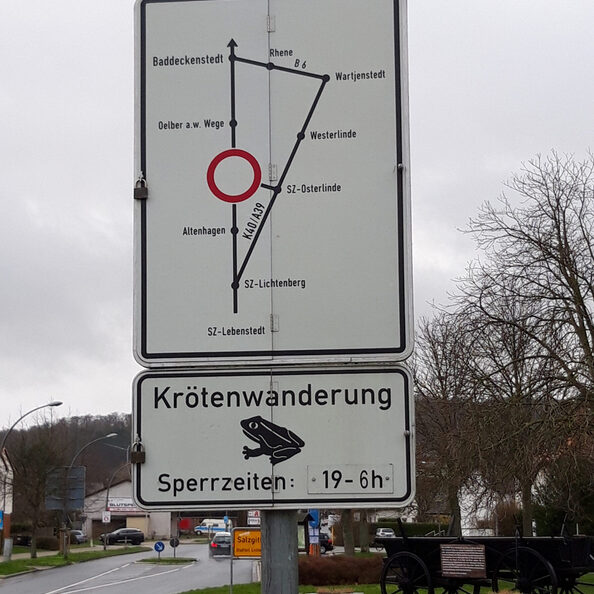 Achtung Verkehrsteilnehmende: Die Amphibien sind unterwegs.