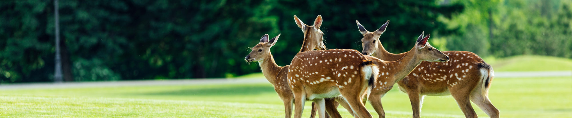 PantherMedia B161993124