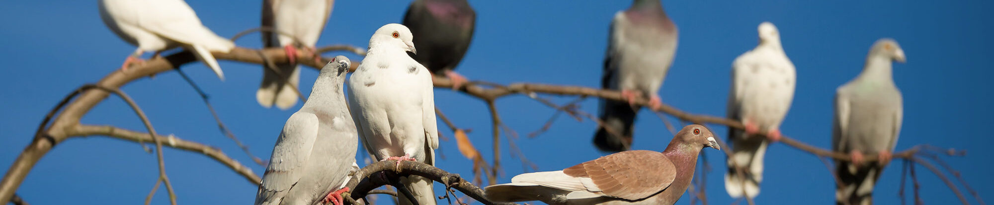 PantherMedia 15292845