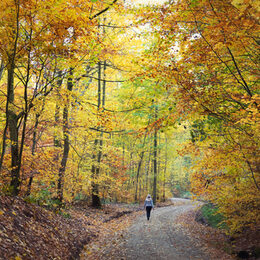 Herbst in Salzgitter