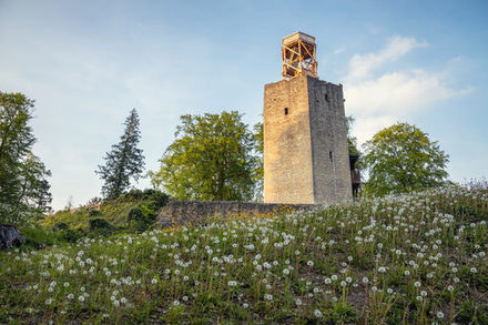 Burg Lichtenberg.