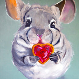 Yvonne Weber präsentiert ihren Chinchilla.