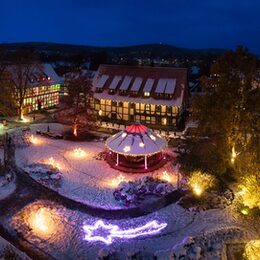 Der illuminierte Rosengarten